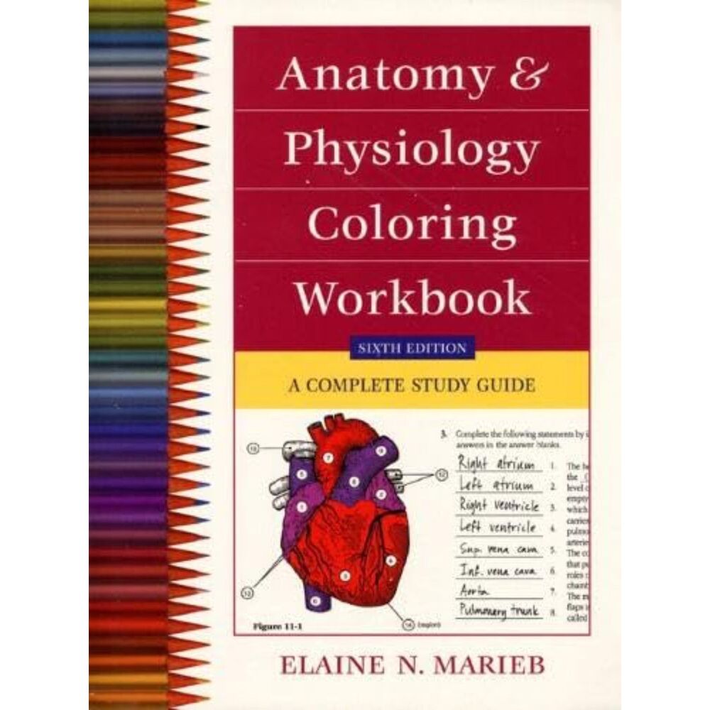 Anatomy and Physiology Coloring Workbook: A Complete Study Guide (6th Edition)